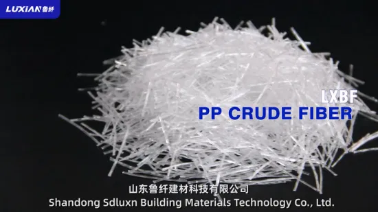 Fibras de vidro de construção Sdluxn OEM personalizado PP bruto Flber para concreto China Fadiga Durabilidade Fabricação de fibra bruta de polietileno