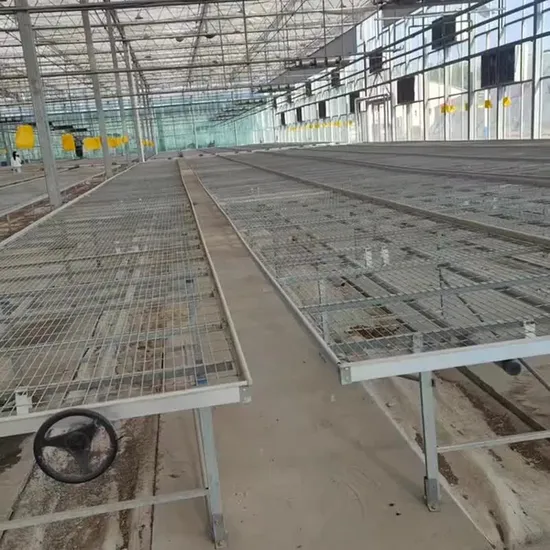 Fabricação de fio de direção de baixo carbono personalizado produtos de jardinagem padrão canteiro de horticultura Xinhe